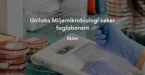 unilabs|unilabs norge.